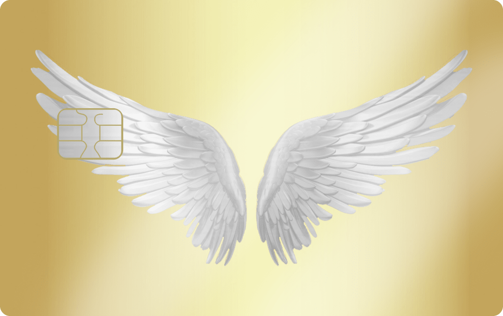 Angel Wings metal card, engraved stainless steel by Metacards